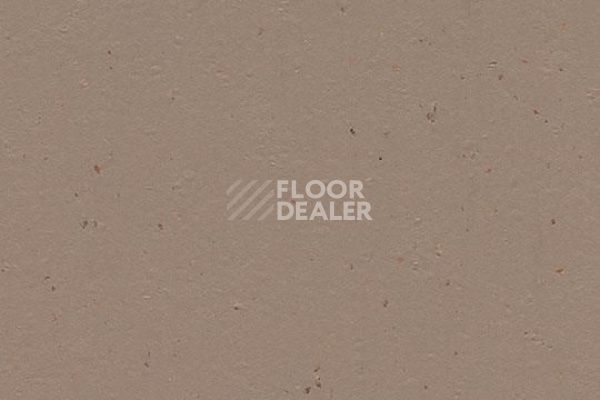 Линолеум Marmoleum Decibel on Order 358035 milk chocolate фото 1 | FLOORDEALER